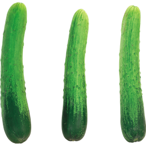 Cucumber PNG-12623